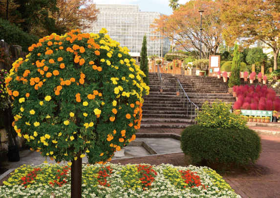 広島市植物公園写生大会