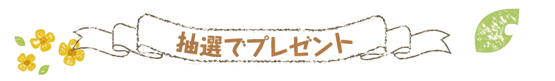 抽選でプレゼント！